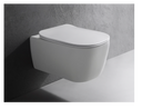 
Wall-hung ceramic toilet