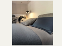 Crazy Dream Bed Arketipo